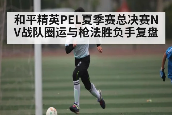 和平精英PEL夏季赛总决赛NV战队圈运与枪法胜负手复盘